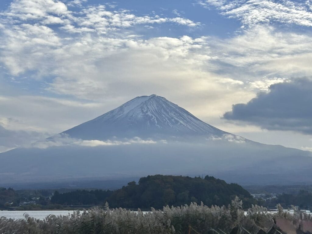 The majestic snow-capped Mt. Fuji rising above a layer of low clouds and Lake Kawaguchi, with silver pampas grass swaying in the foreground under a cloudy sky.