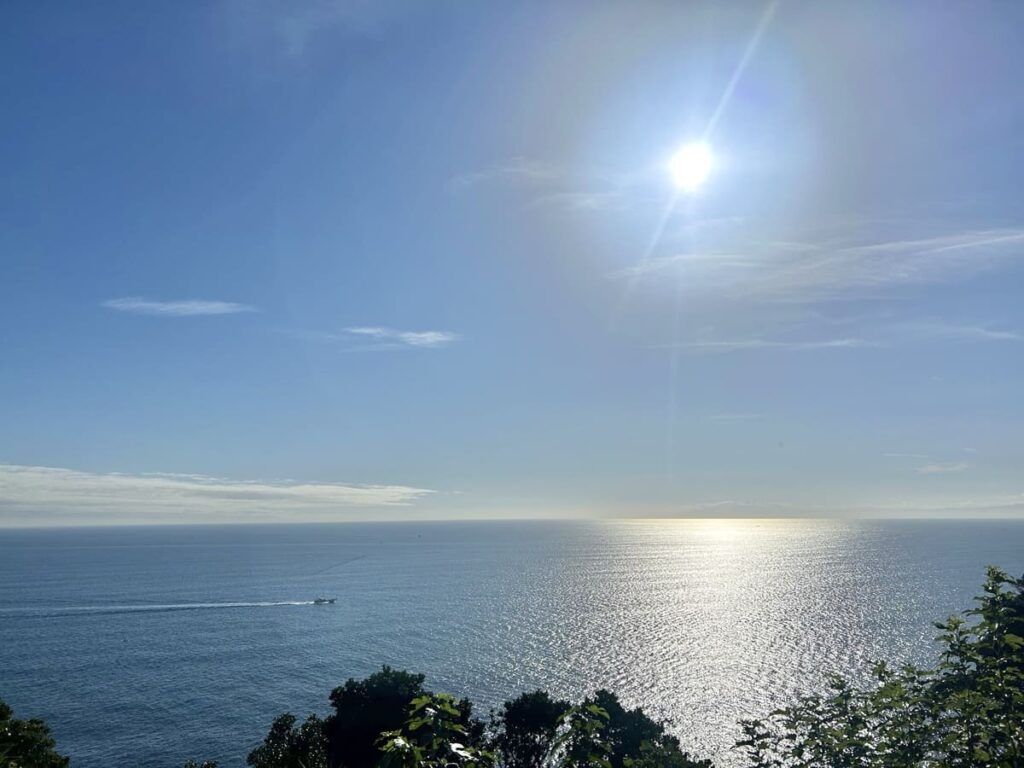 A vast blue ocean sparkling under intense midday sunlight with a small boat cruising on the horizon, viewed from a high vantage point with green foliage in the foreground.