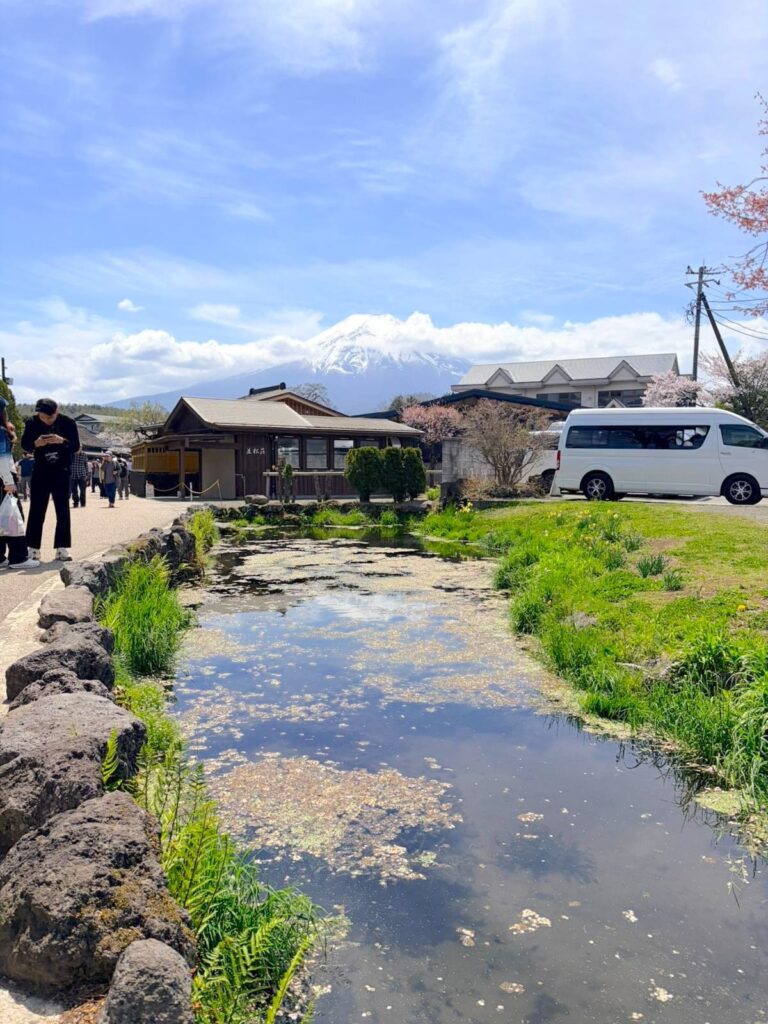 A scenic view of the crystal-clear spring water pond at Oshino Hakkai, featuring traditional Japanese thatched-roof houses, cherry blossoms, and the snow-covered Mt. Fuji in the distance.