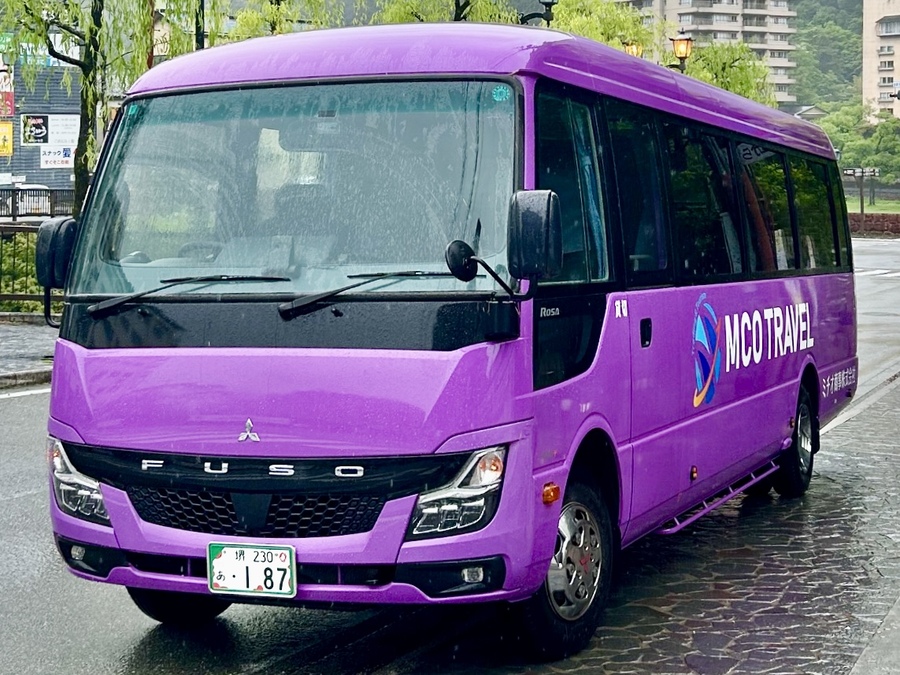 Micro bus for group transportation by TwinQle Tours
